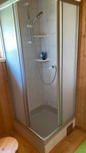 a shower with a glass door in a bathroom at Ferienhaus Fuchsbau Hohentauern in Hohentauern +25 photos