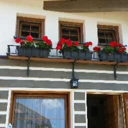 zwei Fenster mit Blumenbeeten und roten Blumen darauf in der Unterkunft Apartments Emma in Červená Voda