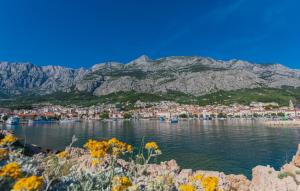 Φυσικό τοπίο κοντά σε αυτή η βίλα +4 φωτογραφίες