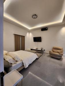 a bedroom with a bed and a tv and a chair at White Swan Mansion in Ketewel +19 photos
