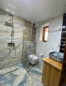 Un baño con ducha, inodoro y lavabo. en Gegest Hotel, en Theth