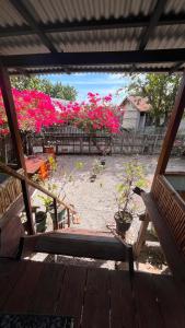 大松巴哇Davi homestay的相册照片