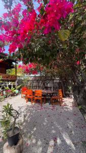 大松巴哇Davi homestay的相册照片