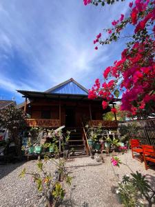 Zahrada ubytování Davi homestay