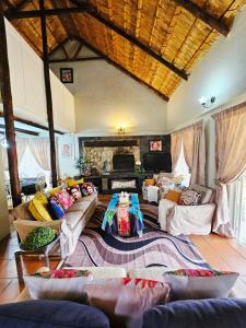 a large living room with couches and a fireplace at Bergvliet Cottages - Salvado and Esparanza in Clarens