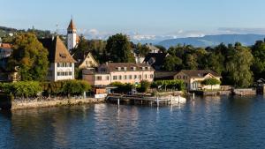 a small town on the shore of a body of water at Boutiquehotel Sonne Küsnacht - Zürich in Küsnacht
