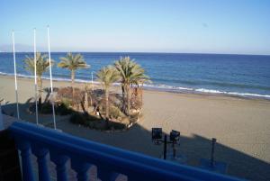 vistas a una playa con palmeras y al océano en Hotel Doña Luisa, en San Luis de Sabinillas