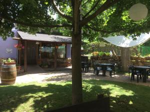 un patio con mesas y sillas bajo un árbol en Albergue Pájaro Loco en Castejón de Sos