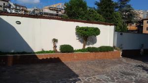 a white wall with a tree on the side of it at Rainbow Sweet Rooms in Valmontone