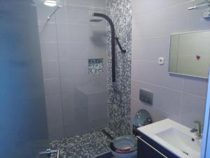 a bathroom with a shower with a toilet and a sink at Apartment Tara in Sumartin +33 photos