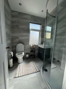 een badkamer met een douche, een toilet en een wastafel bij Home from Home in Belfast in Belfast