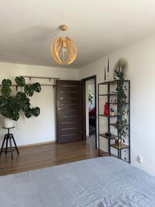 ブィドゴシュチュにあるApartament Szwederowoのベッドとシャンデリアのある寝室
