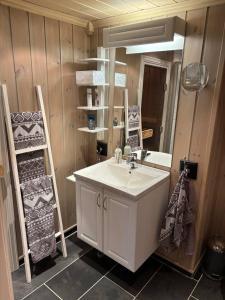 un baño con lavabo y espejo en Cosy ski-in ski-out mountain cabin with sauna, en Trysil