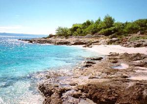 a beach with rocks and blue water and trees at Apartment Tara in Sumartin