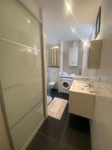 un bagno con lavandino e lavatrice di Appartement Louis a Cap d'Ail Altre 26 foto