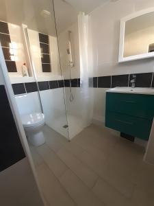 un bagno con doccia, WC e lavandino di Gîte 36 - 5 Km Zoo De Beauval a Couffy