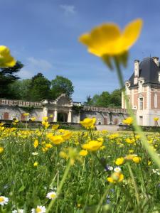 a field of flowers in front of a castle at Gîte 132, Cœur Châteaux in Noyers-sur-Cher