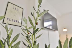 a plant in a room next to a mirror at Hollins House, Free Street Parking, Long or Short Stays - by NMB Property in Hollinwood