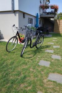 zwei Fahrräder, die im Gras neben einem Gebäude geparkt sind in der Unterkunft Gîte le petit wintz 4 personnes avec son jardin privatif - Parking avec borne de recharge pour véhicule électrique 22Kw - 2 vélos in Wintzenheim + 7 Fotos