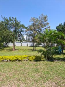 a park with palm trees and grass and flowers at Queen`s Way Resort in Kisumu