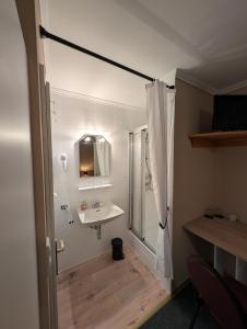 a bathroom with a sink and a shower at Hotel & Restaurant Rösselsquelle in Ludwigswinkel +25 photos