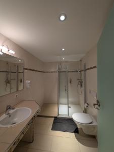 a bathroom with a shower and a toilet and a sink at Hotel & Restaurant Rösselsquelle in Ludwigswinkel