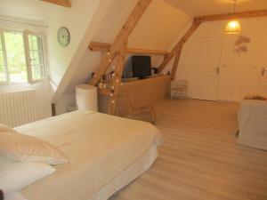 特雷利萨克Suite Maraval Chez L'habitant的阁楼里有一张床和一台电视的卧室