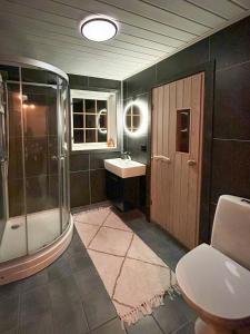 a bathroom with a shower toilet and a sink at Mountain Cabin With Ski Tracks Nearby in Øyer