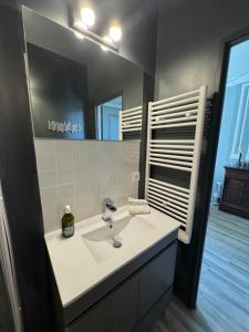 a bathroom with a sink and a mirror at Le studio du Clos du Bourgage in Saint-Pierre-dʼAutils