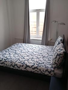 Una cama con un edredón azul y blanco y una ventana. en T2 rénové proche métro, en Lille 3 fotos más