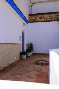 an empty room with potted plants and a wall at Apartment Rincón de Marinos in Almuñécar