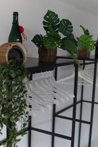 a black shelf with plants and a bottle of wine at Appartement Schwarzwald-Living in Baiersbronn