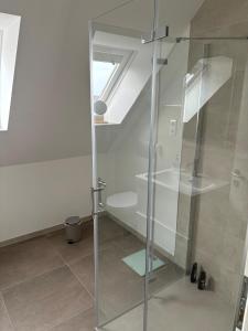 a bathroom with a glass shower with a toilet at Baltic view in Heiligenhafen +13 photos