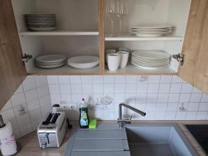 a kitchen with a sink and plates in a cabinet at Apartment Bergblick Bad Berleburg in Bad Berleburg +16 photos