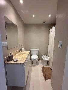 a bathroom with a toilet and a sink at Roma apartamento 2 frente al mar in Mar del Plata