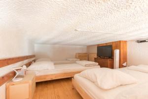 a bedroom with two beds and a tv in it at Neige d'Argent - Station à pied in Saint-Léger-les-Mélèzes