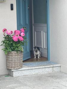 Foto sihtkohas Blackrock asuva majutusasutuse Deansgrange Road galeriist