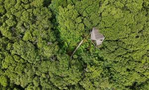 an aerial view of a building in the middle of a forest at Kudhva 3 in Treknow