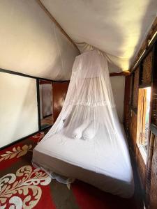 a bed in a room with a mosquito net at Davi homestay in Sumbawa Besar