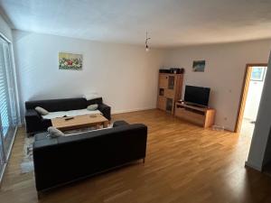 TV a/nebo společenská místnost v ubytování Sarajevo Apartment