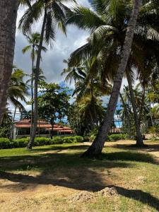 a group of palm trees in front of a house at Villa Kate in Las Terrenas