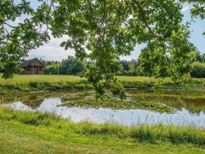 a pond in a field with a house in the background at Luxury Retreat with Hot Tub - By Traum Ferienwohnungen in Gram +31 photos