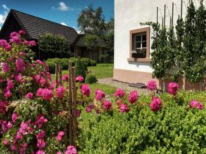 a garden with pink flowers in front of a house at Holiday Home in Bullange with Sauna in Bullange
