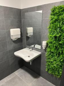 un bagno con lavandino e pianta verde di Park Central Tapolca - Corner a Miskolctapolca Altre 42 foto