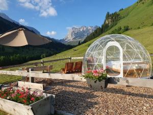 LuzeinBubble Suite St Antoenien的田野里有长椅和鲜花的温室