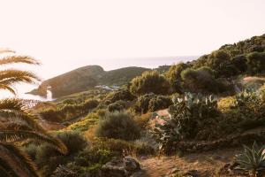 Φυσικό τοπίο κοντά σε αυτό το bed & breakfast