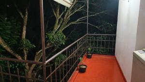 a room with a tree on the wall at Carls' Corner in Kandy