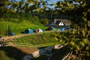 Природа в окрестностях кемпинга