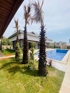 a group of palm trees in front of a house at Greenpark Villas in Kemer +14 photos