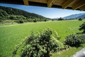 a green field with a bush in the middle at Studio Terra Salzburg Eco-suite in Altenmarkt im Pongau +8 photos